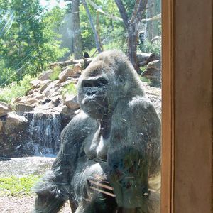 Meet your Posher, Fred